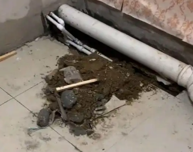 东兴卫生间漏水检测哪家好